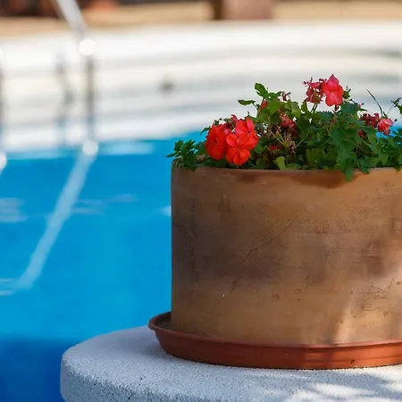 Casita Malvinas En De Con Piscina * Níjar